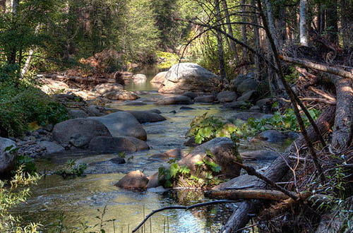 tuolumne-river-carlon-falls-trail