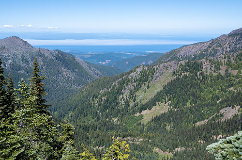 hurricane-ridge