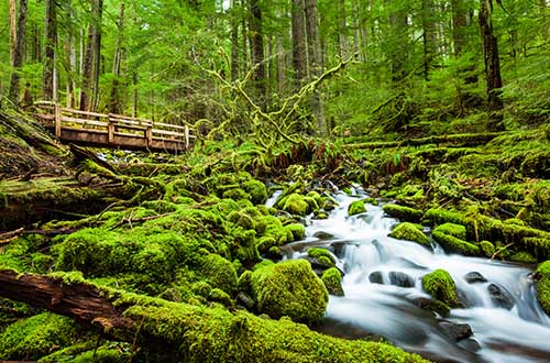 sol-duc-falls-view