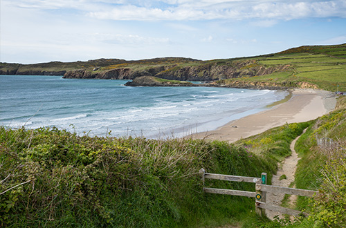 wales-coast-path-whitesands-bay-pembrokeshire-wales-united-kingdom