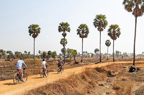 biking-with-coconut