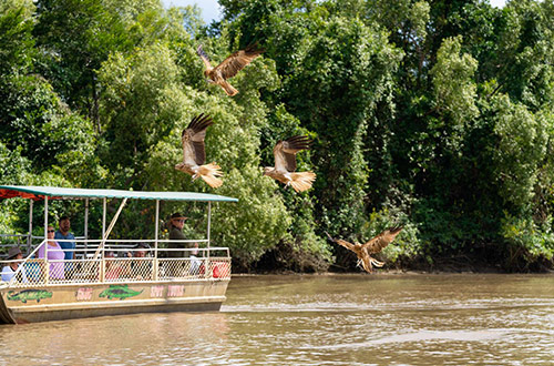 crusing-kakadu-park