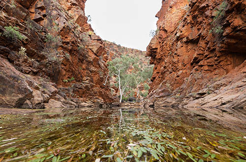 larapinta-signature-walk-river