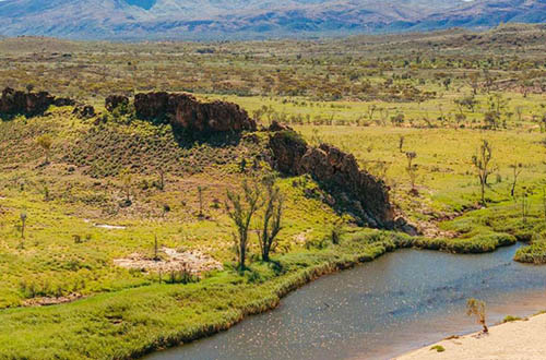 larapinta-valley