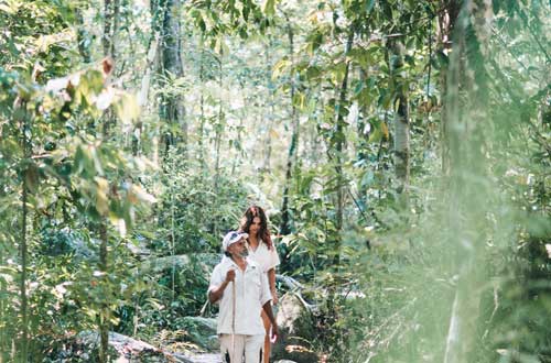 great-barrier-reef-cruise-australia-queensland-indigenous-culture-daintree