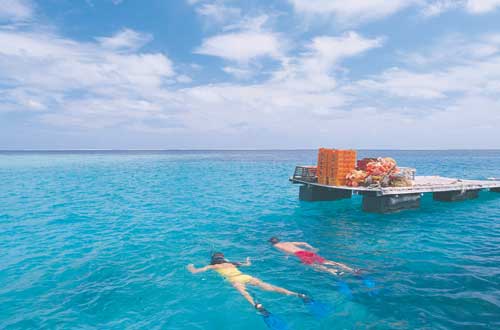 snorkelling-on-houtman-abrolhos-islands-western-australia