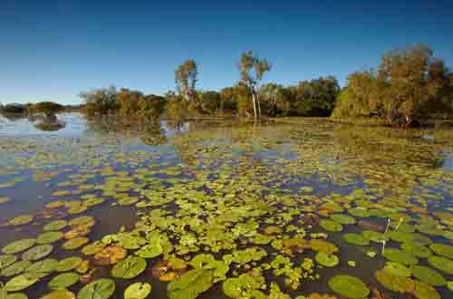 Point-Stuart-Wilderness-lodge-australia-northern-territory