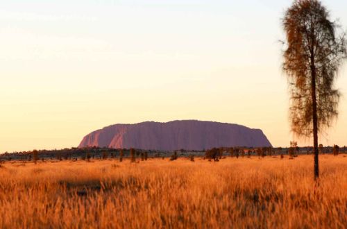 uluru-tour-australia