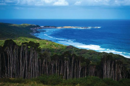 grand-tasmania-discovery-air-tour-10d9n-king-island