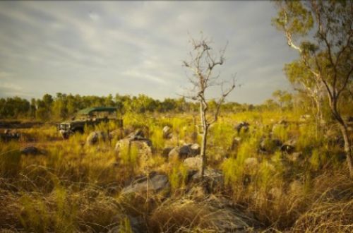 Arhnem-land-safari-Mt-Borradaile-Austarlia