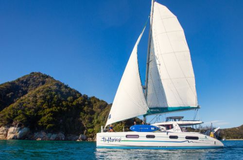 abel-tasman-national-park-south-island-new-zealand-coastal-track-walk-inlet-bay-catamaran-private-sail 