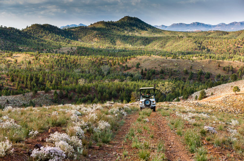 Arkaba-Walk-flinders-ranges-south-australia-luxury-walking-safari