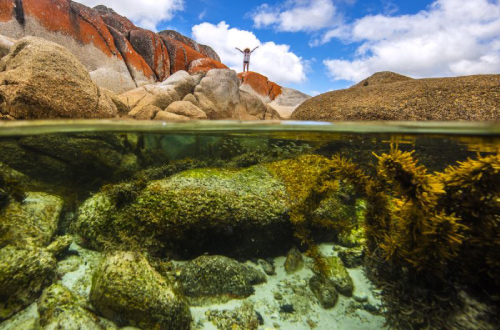 bay-of-fires-guided-walking-tour-tasmania