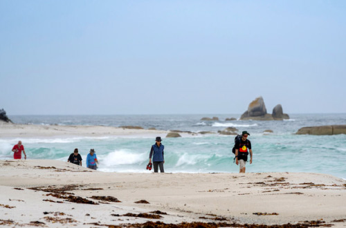 Bay of Fires Walk Beach