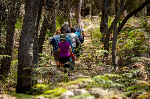 Bay-of-Fires-Walk-Mt-William