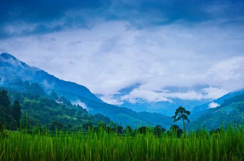 Como-Uma-Punakha-Valley