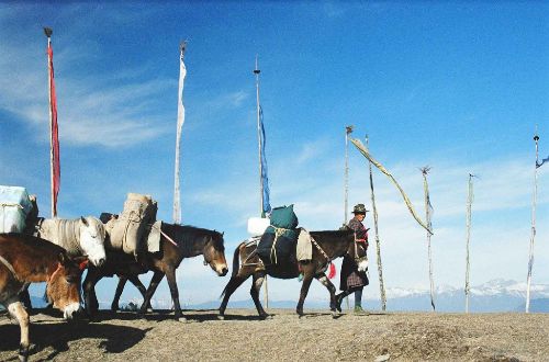 bhutan-luxury-trekking-como-uma-Druk-Path-Trek