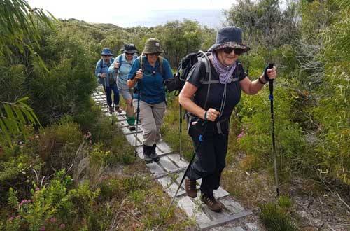 bibbulmun-track-albany-to-denmark-western-australia