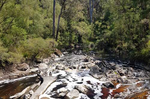 bibbulmun-track-walk-walpole-to-denmark-western-australia 