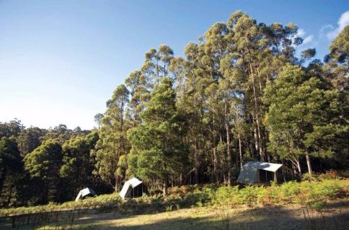 Bruny-Island-walk-glamping