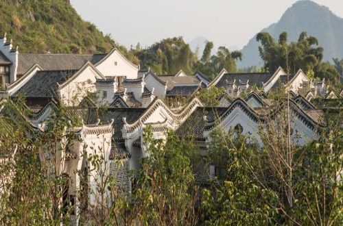 Banyan-Tree-Yangshuo-china-walks