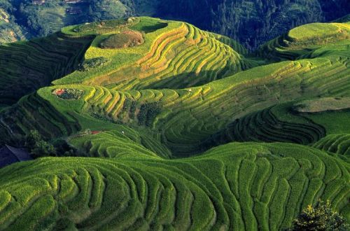 rice-terraces-guilin-china-walking-tour