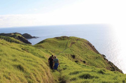 The-Coromandel-Coastal-Walkway-Walk