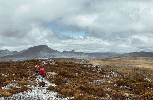 tasmania-central-highlands-overland-track-cradle-mountain-lake-st-clair-national-park-hikers-walk