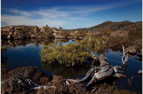 tasmania-central-highlands-mount-field-tarn-shelf-walk-hike-track