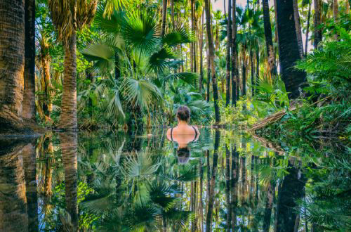 el-questro-zebedee-springs