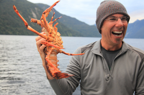 doubtful-sound-cruise-crayfish