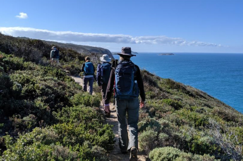 southern-ocean-walk