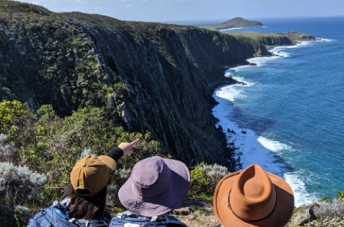 southern-ocean-walk-Newland-Head