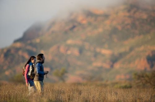 flinders-ranges-outback-walk