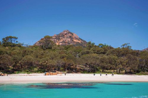 freycinet-walks-wineglass-bay-walk-beach