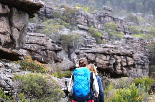 grampians-peak-trail-hikers-mount