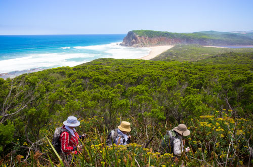 great-ocean-walk-the-apostles