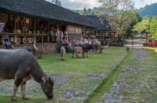 luxury-east-bali-adventure-unique-tenganan-village-people-