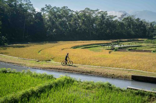 luxury-java-adventure-bike-riding