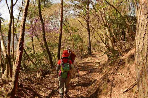 apan-walk-kyoto-countryside-walk-hiking