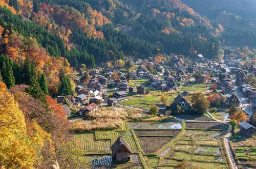 Shirakawago-tour-Shirakawago-walk