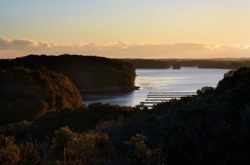 Ago-Bay-Sunset-Cruise