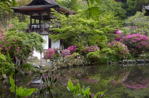 japan-tour-ancient-capitals-nara-asuka-walk-chogakuji-temple