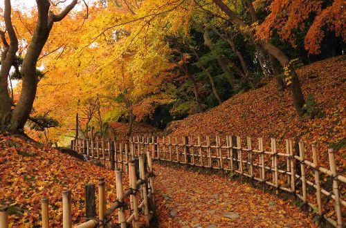 japan-luxury-walk-kyushu-takamatsu-ritsurin-park