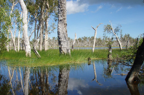 kakadu-arnhem-land-tour-Cobourg-Coastal-Ramsar-Wetland