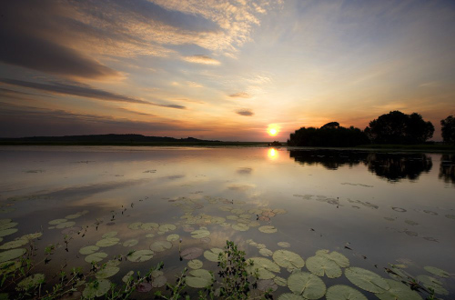 kakadu-tour-Corroboree-Billabing-Cruise