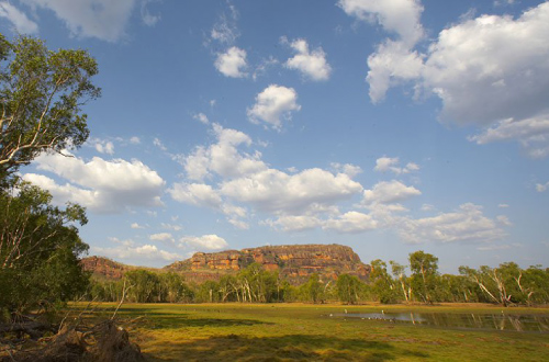 kakadu-tour-Nawurlandja-lookout