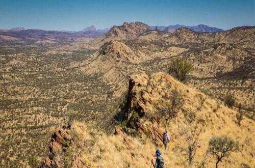 Larapinta-trail-guided-walk-trek-larapinta-Trekkers