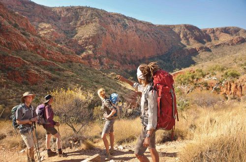 Larapinta-trail-guided-walks-female-walkers