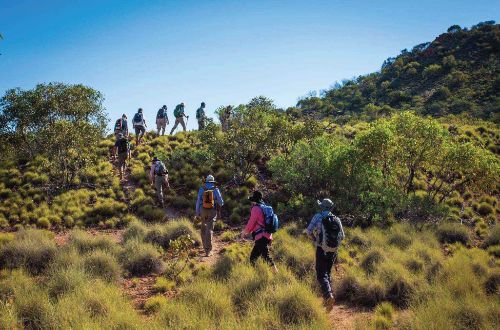 Larapinta-trail-guided-walks-group